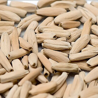 Семена адениума