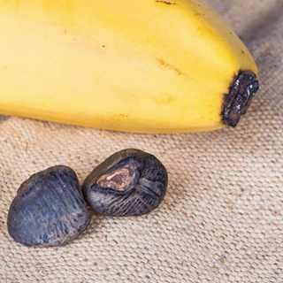 Семена банана