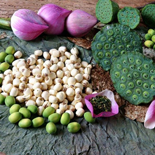 Семена водных растений